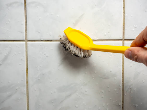 Best Professional Mold Removal  in Mamou, LA