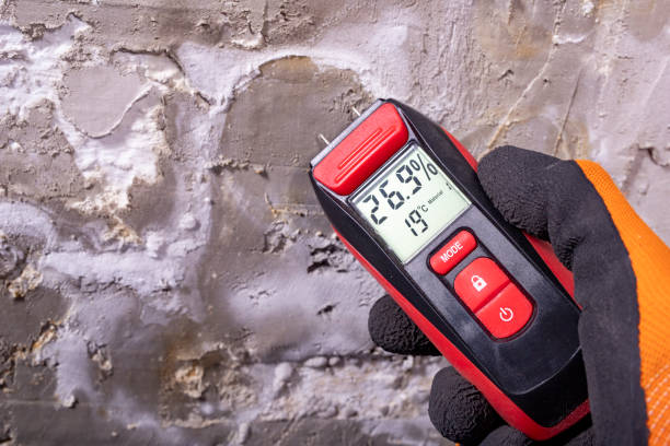 Best Black Mold Removal  in Mamou, LA