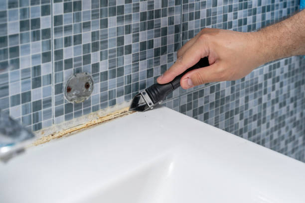 Best Certified Mold Removal  in Mamou, LA