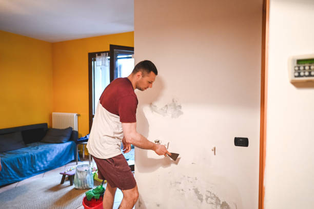 Best Fast Mold Removal  in Mamou, LA